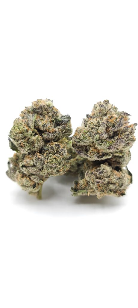 Sky High Exotics