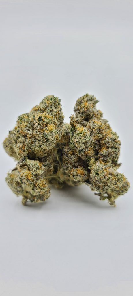 Sky High Exotics