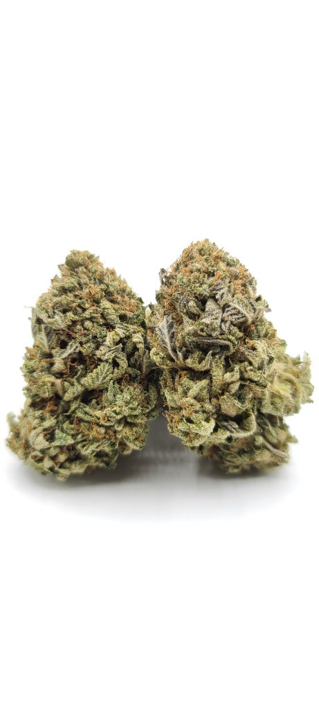 Sky High Exotics