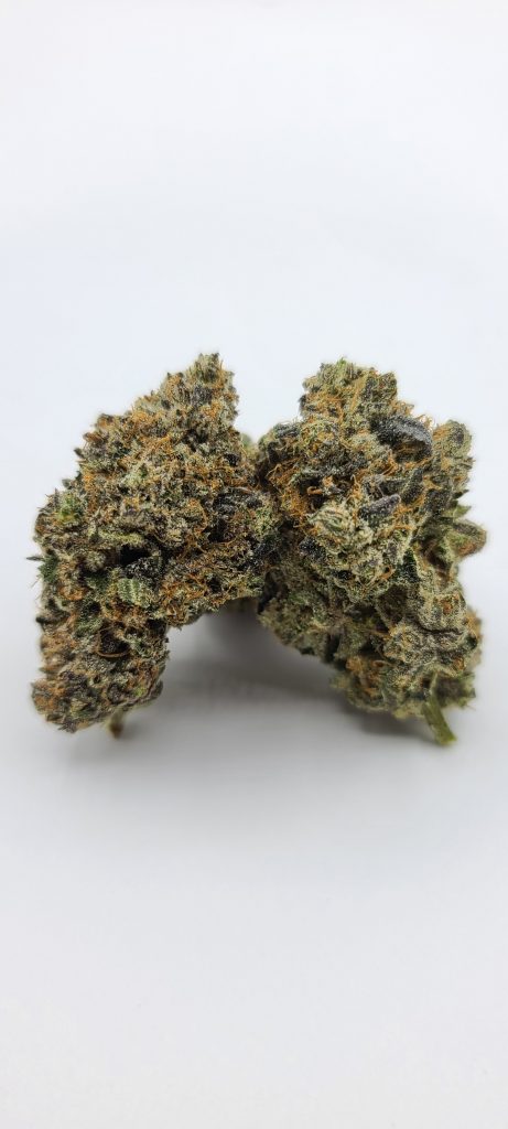 Sky High Exotics
