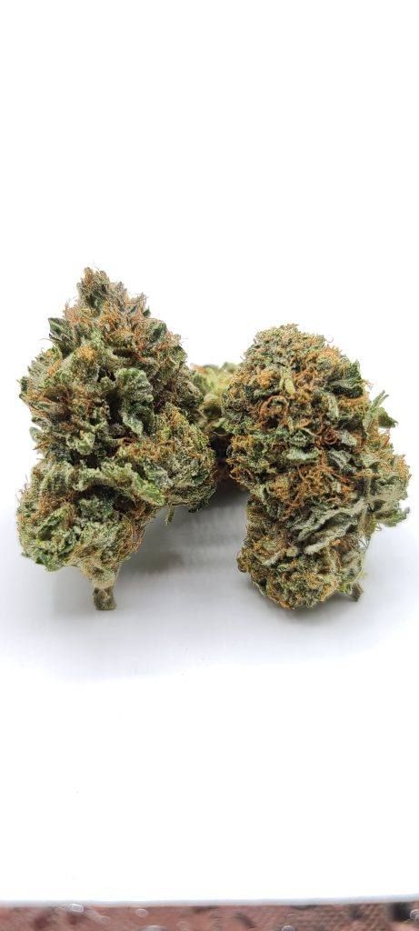 Sky High Exotics