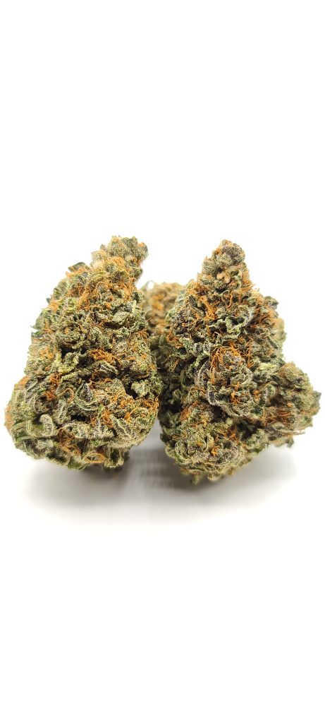 Sky High Exotics