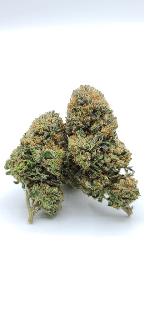 Sky High Exotics