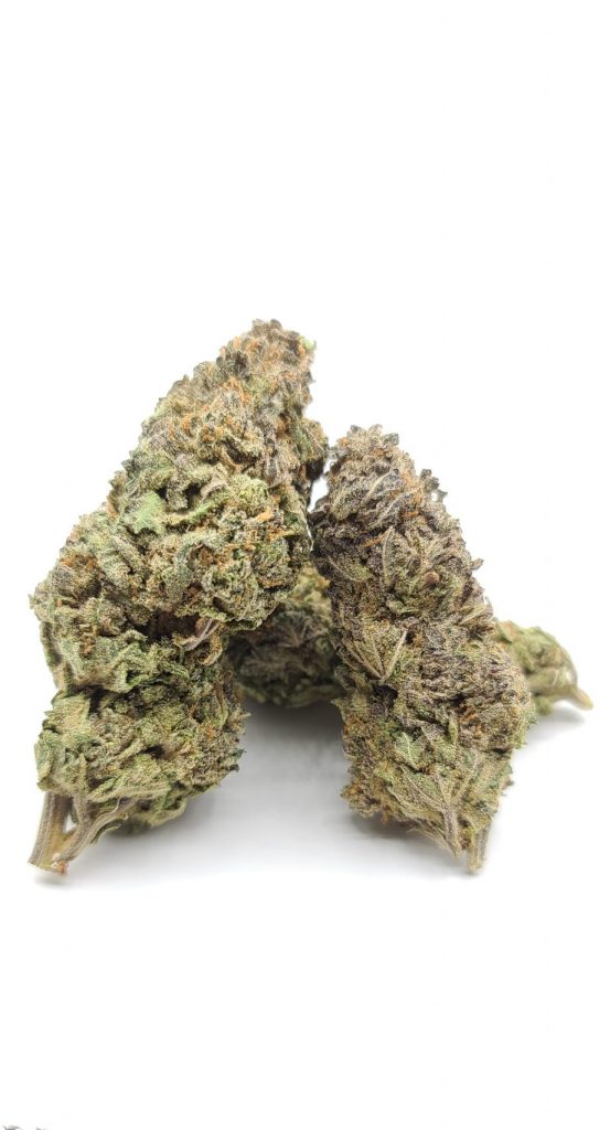 Sky High Exotics