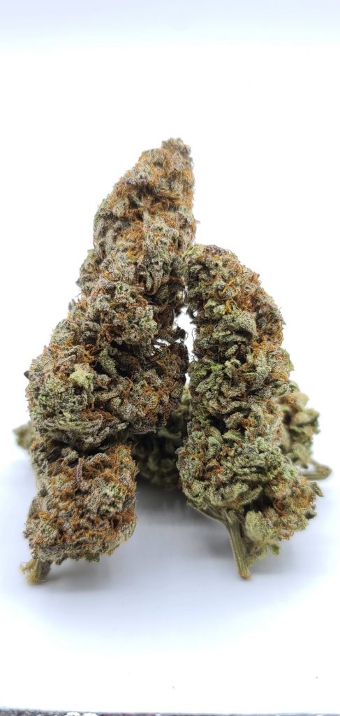 Sky High Exotics