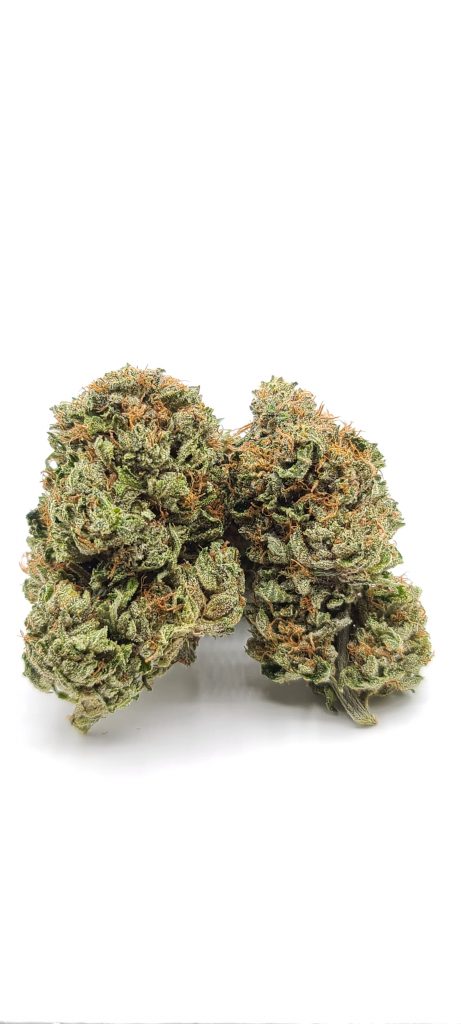 Sky High Exotics