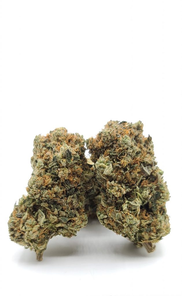 Sky High Exotics