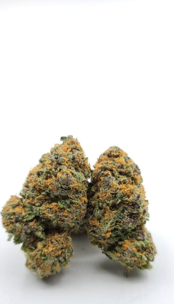 Sky High Exotics