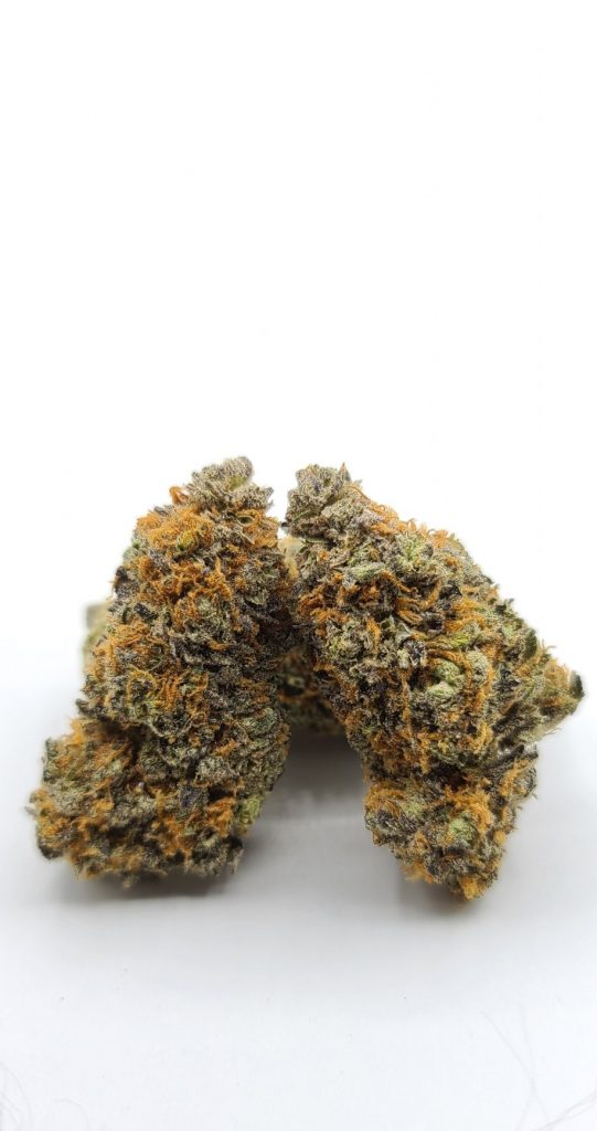 Sky High Exotics