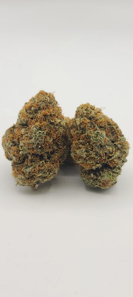 Sky High Exotics