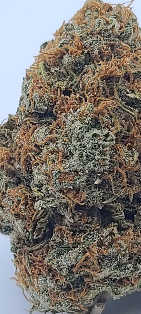 Sky High Exotics