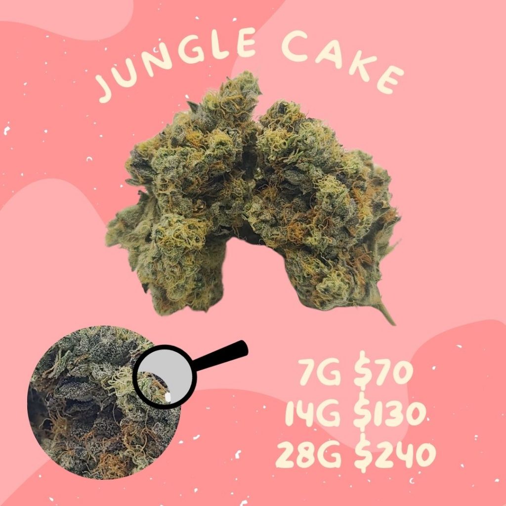 Sky High Exotics