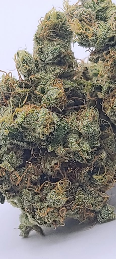 Sky High Exotics