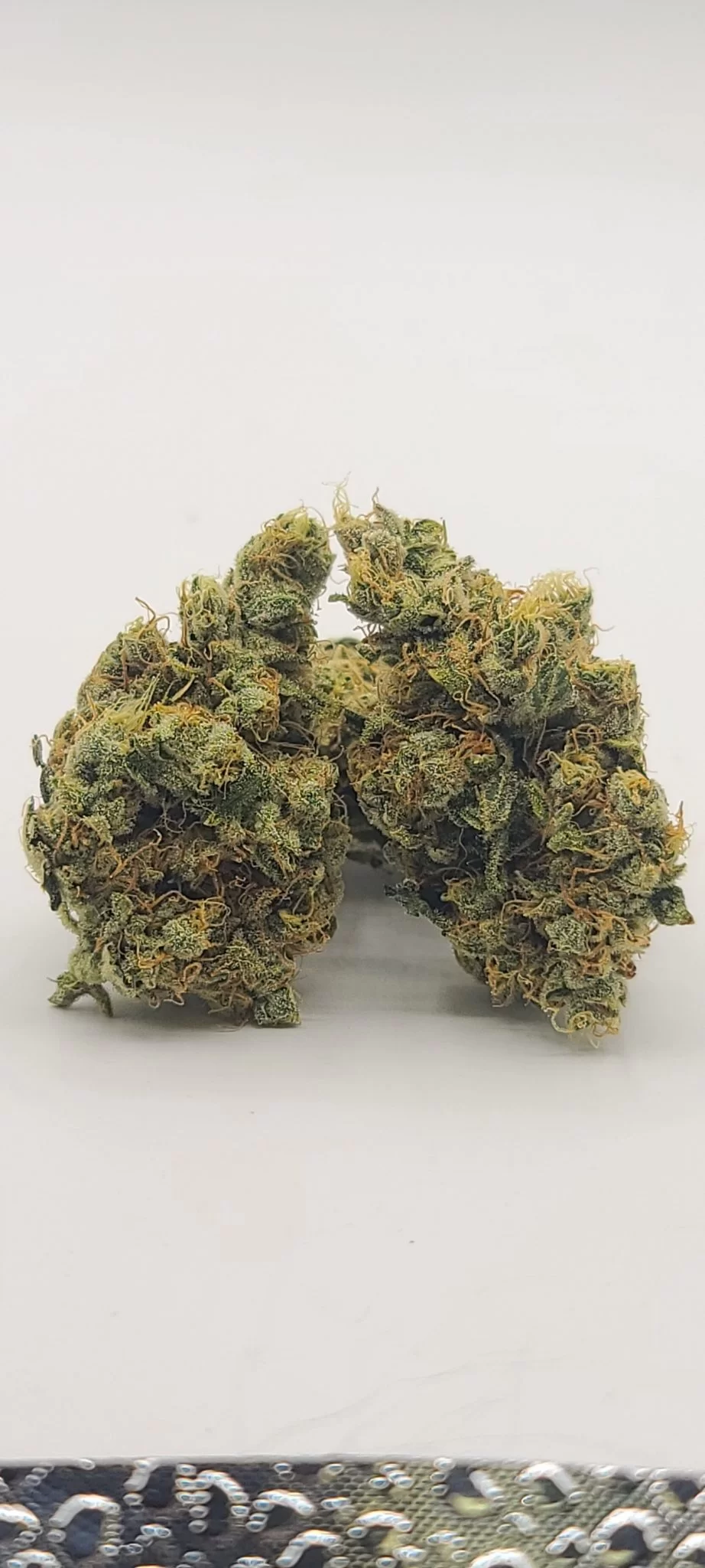 Sky High Exotics