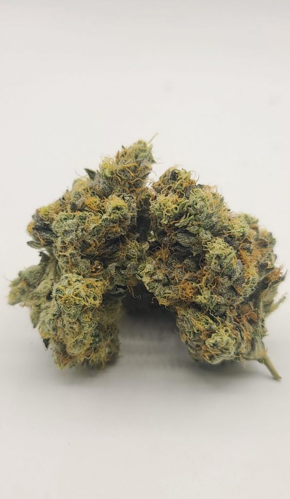 Sky High Exotics
