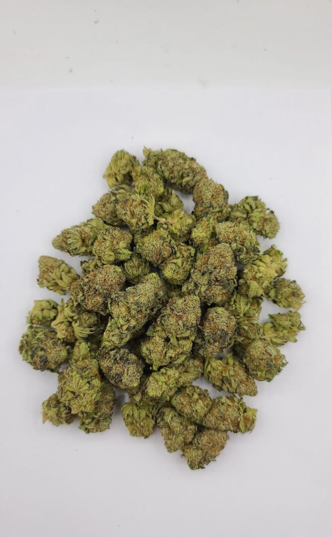 Sky High Exotics