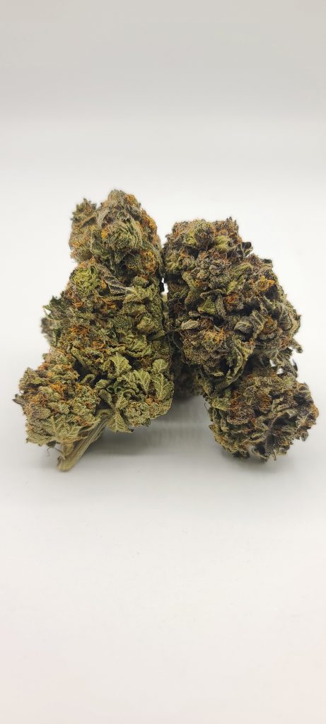 Sky High Exotics