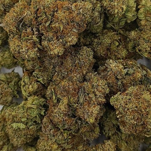 Sky High Exotics