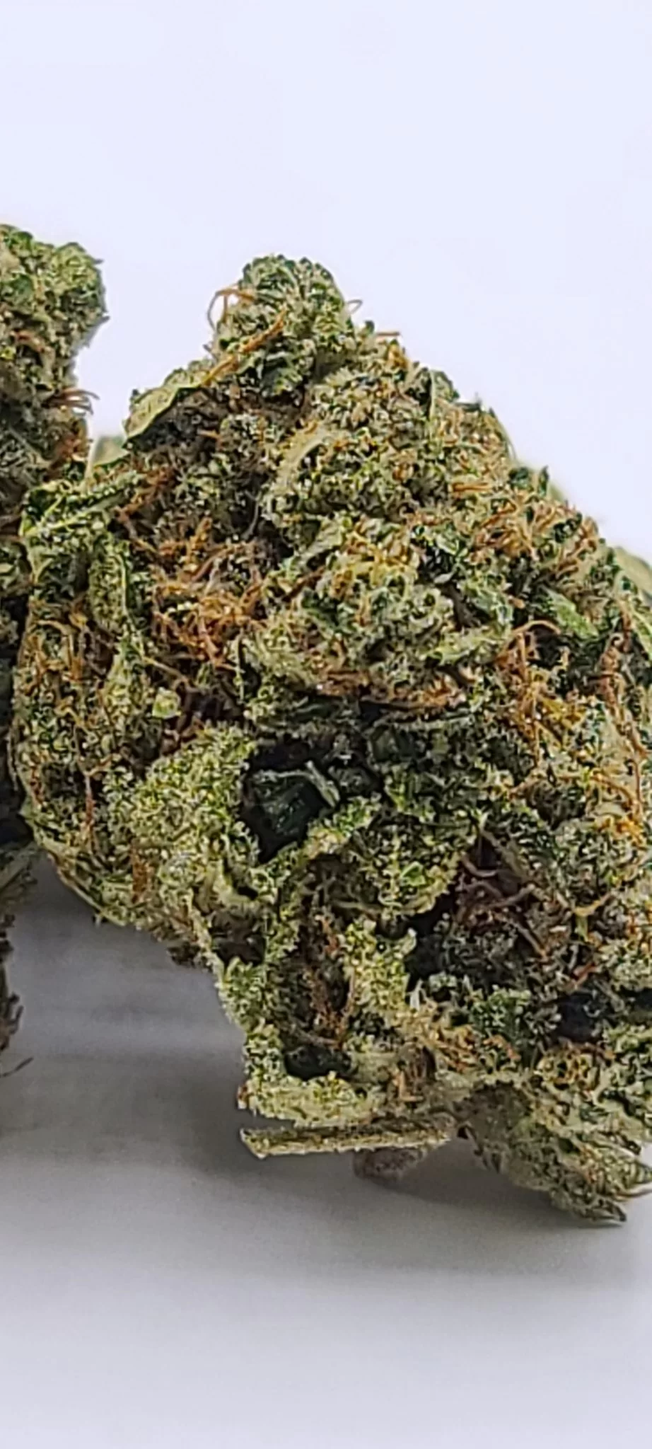 Sky High Exotics