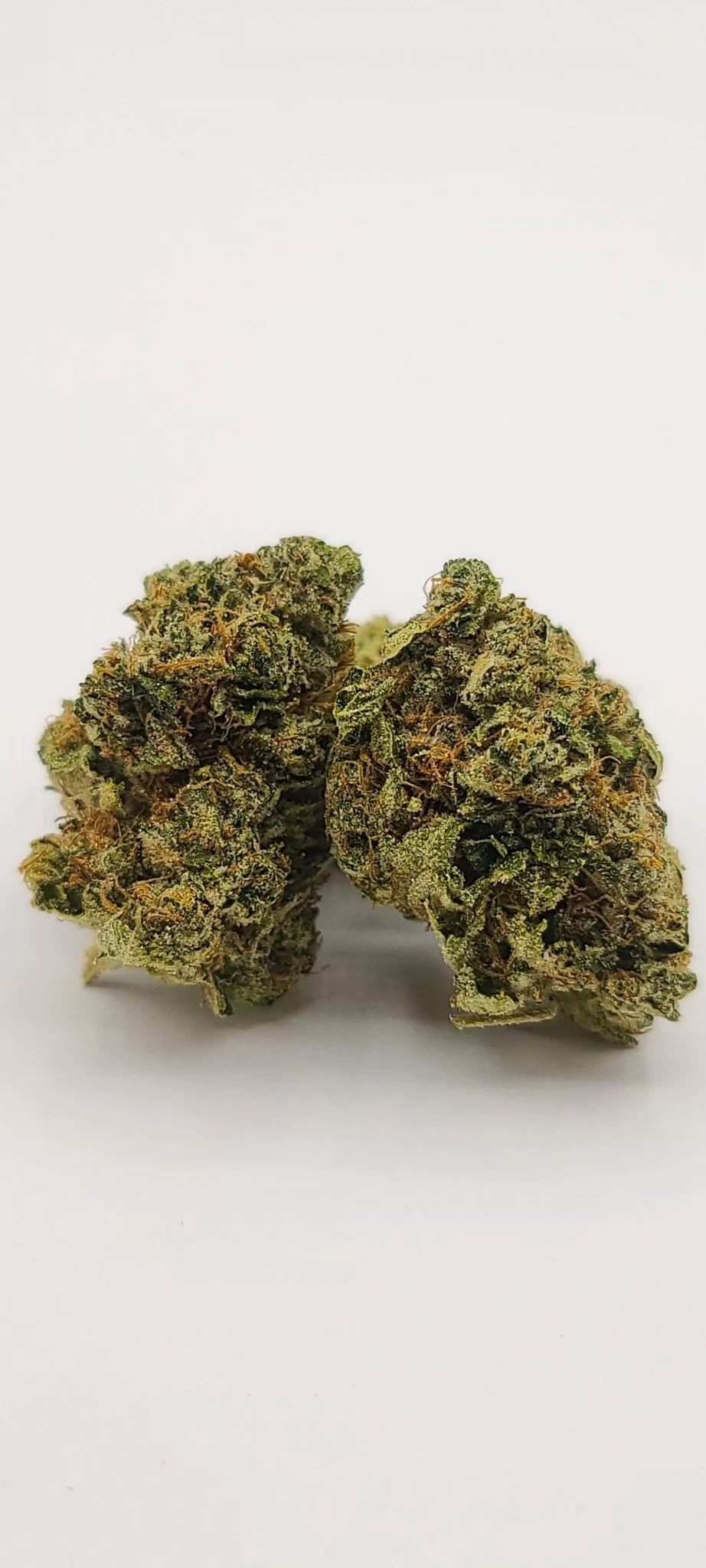 Sky High Exotics