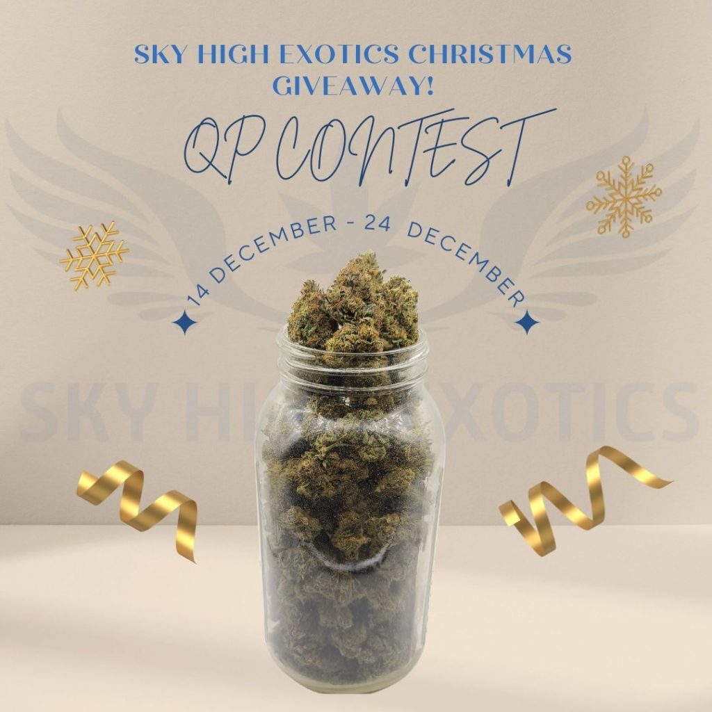 Sky High Exotics