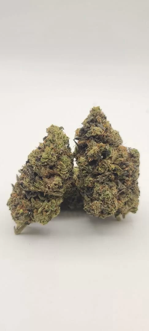 Sky High Exotics