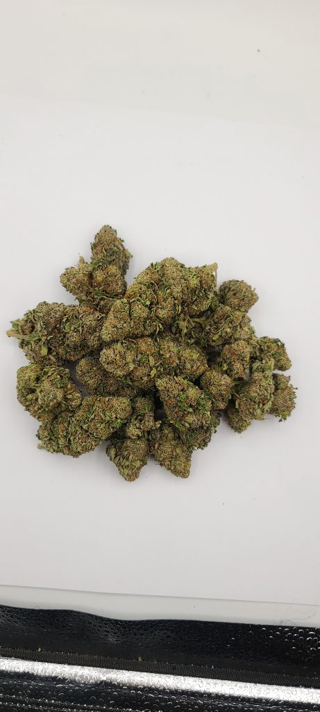 Sky High Exotics