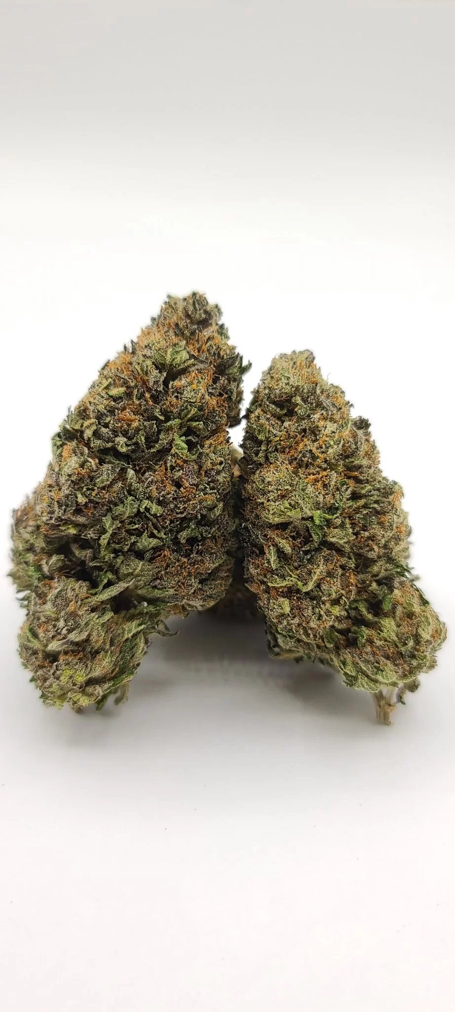 Sky High Exotics