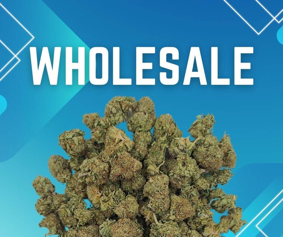 Sky High Exotics