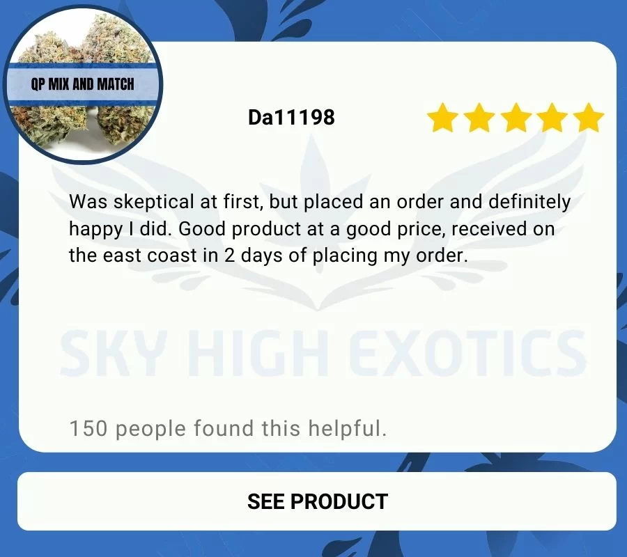 Sky High Exotics