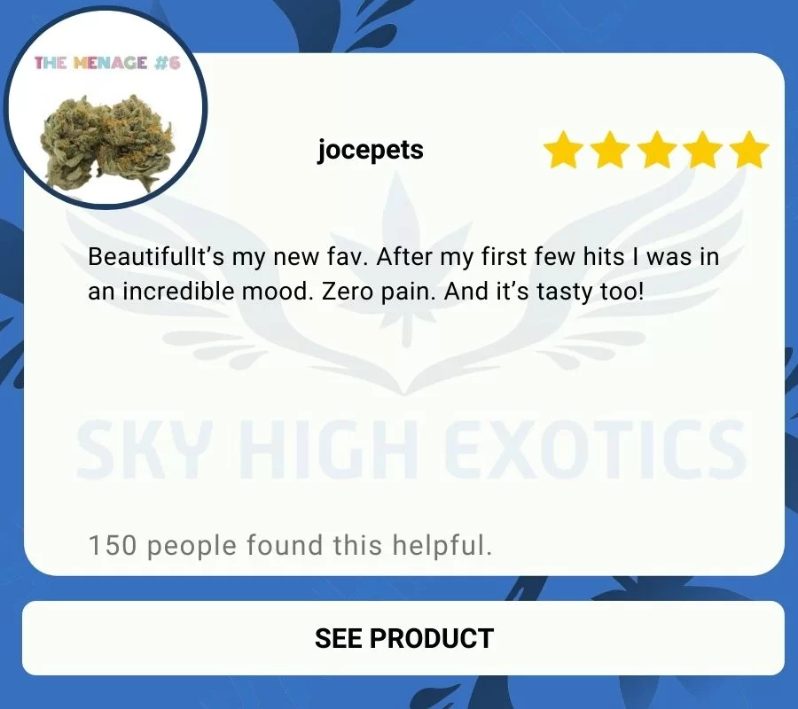 Sky High Exotics