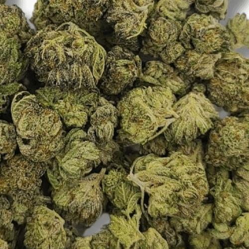 Sky High Exotics
