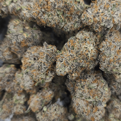 Sky High Exotics
