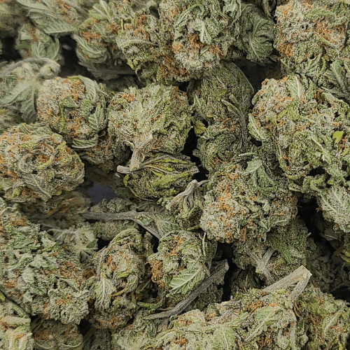 Sky High Exotics