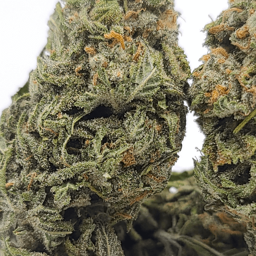 Sky High Exotics
