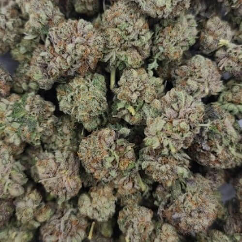 Sky High Exotics