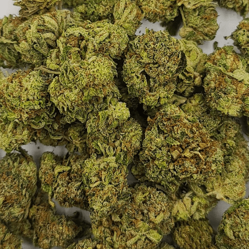 Sky High Exotics
