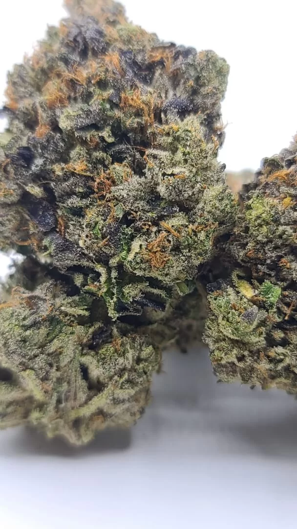 Sky High Exotics