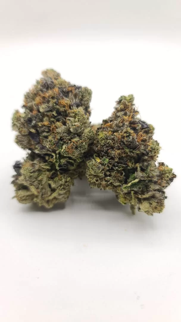 Sky High Exotics