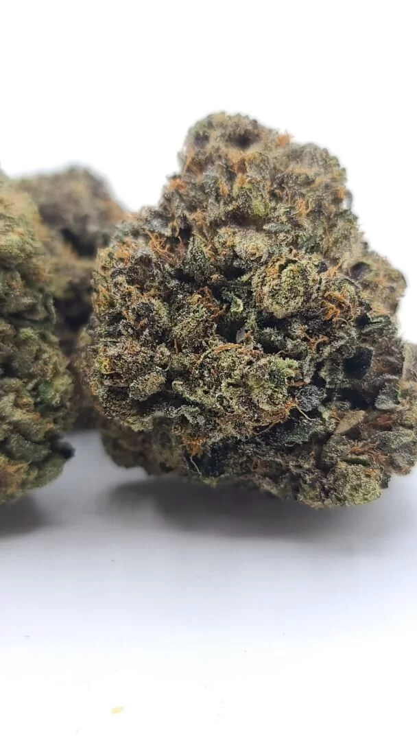 Sky High Exotics