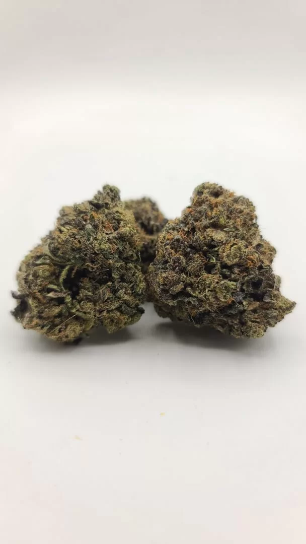 Sky High Exotics