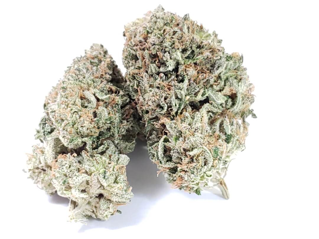 Sky High Exotics