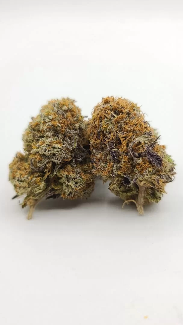 Sky High Exotics