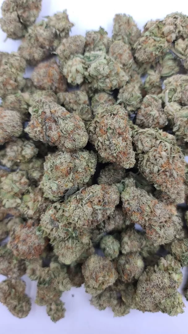 Sky High Exotics