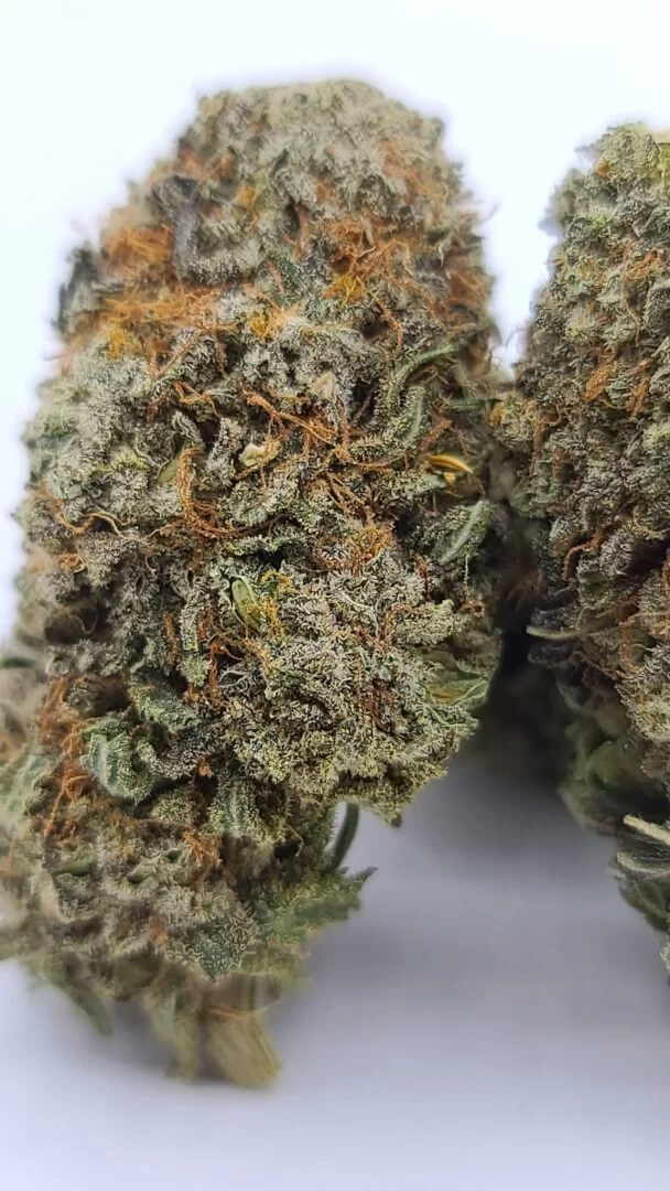 Sky High Exotics