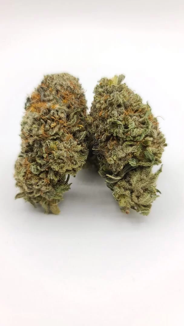 Sky High Exotics