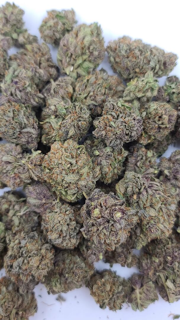 Sky High Exotics