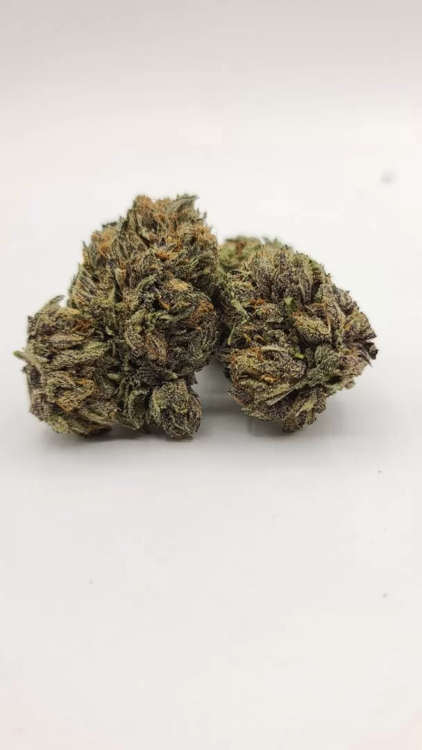 Sky High Exotics