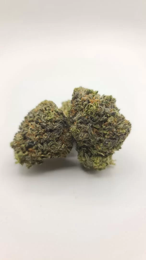 Sky High Exotics