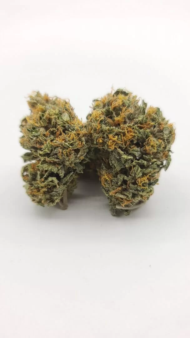 Sky High Exotics